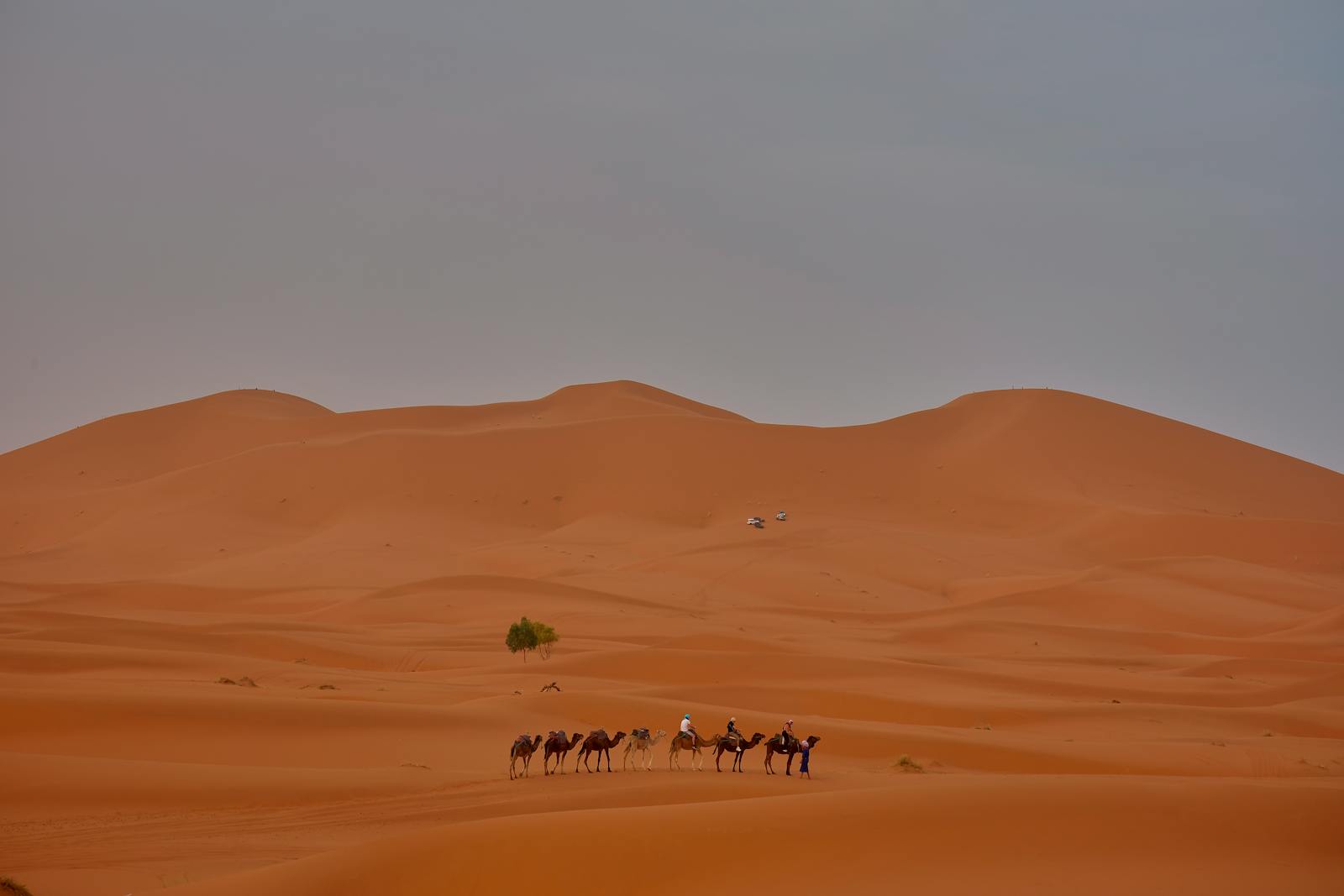 Team Building in the Sahara Desert